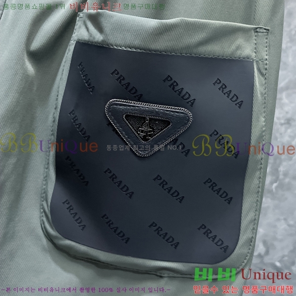    P9175231
