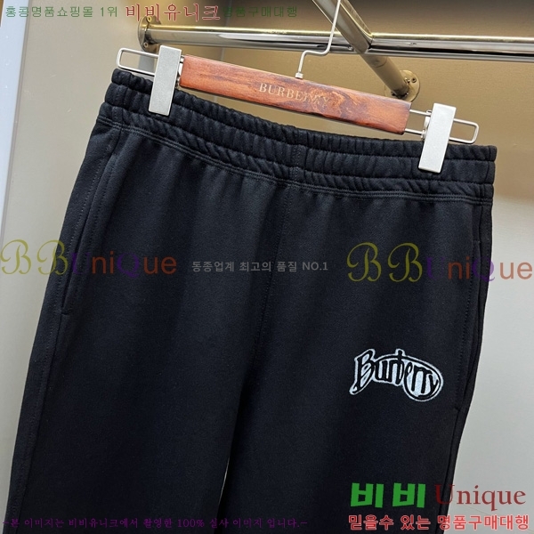   BU528053
