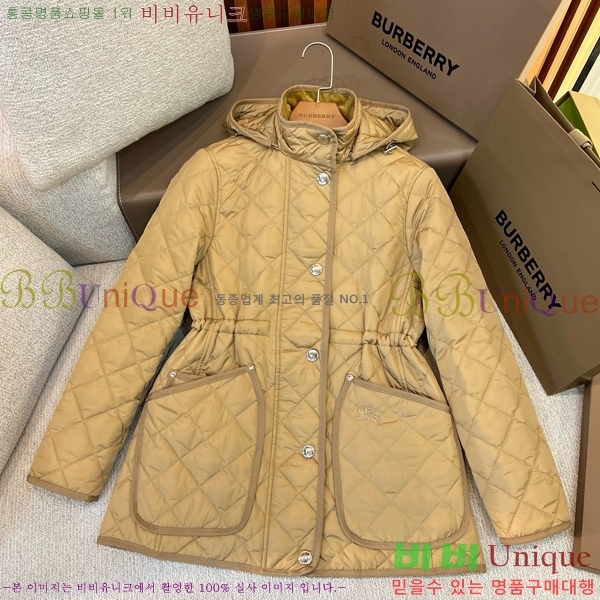   ٿ е BU2536219-1