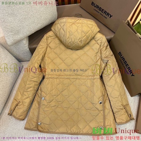   ٿ е BU2536219-1