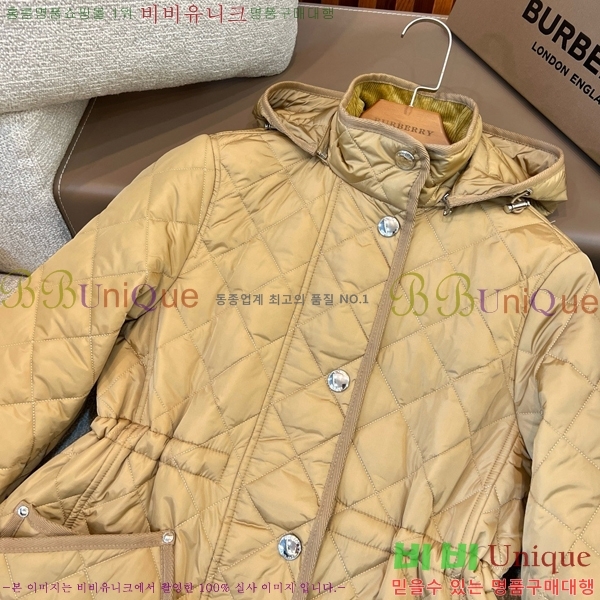   ٿ е BU2536219-1