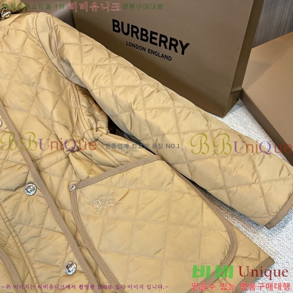   ٿ е BU2536219-1