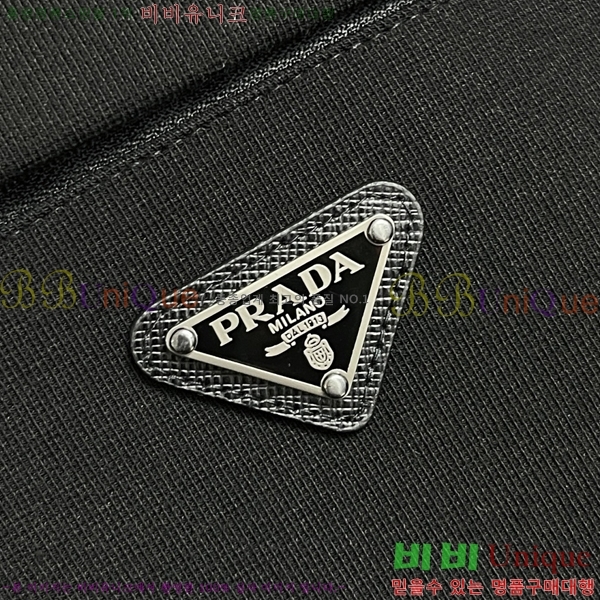    PA171260