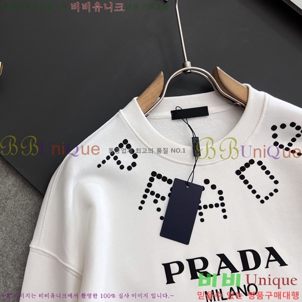    PA171274-2