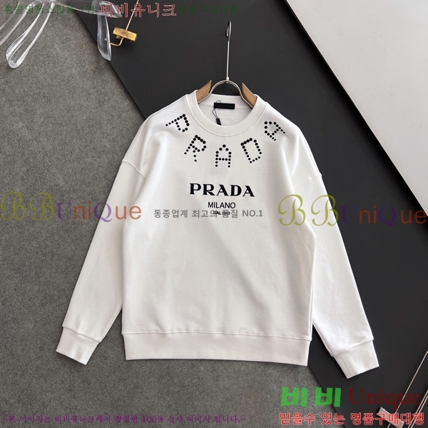    PA171274-2