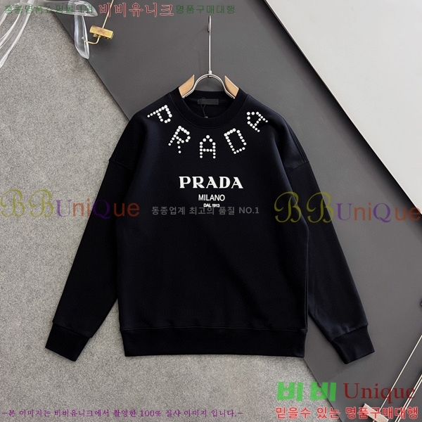    PA171274-1