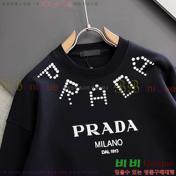    PA171274-1