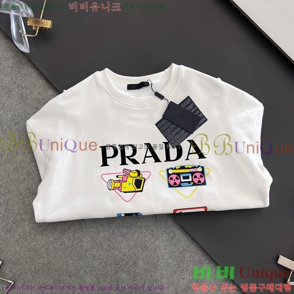    PA171273-1